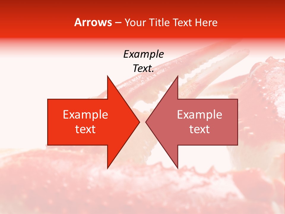 Snow Crab Legs On White Background Focus On Claw PowerPoint Template