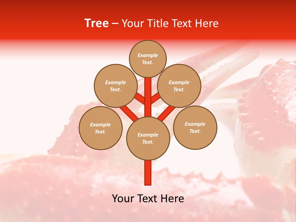 Snow Crab Legs On White Background Focus On Claw PowerPoint Template