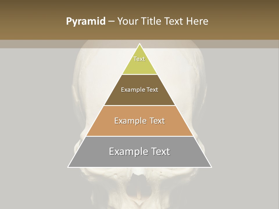 Symbol Body Death PowerPoint Template