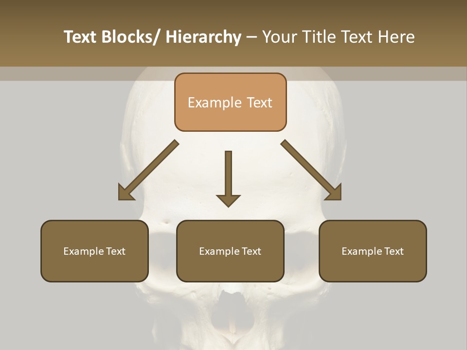 Symbol Body Death PowerPoint Template
