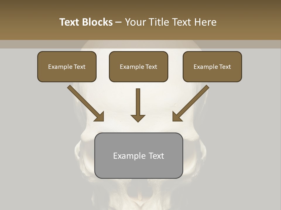 Symbol Body Death PowerPoint Template