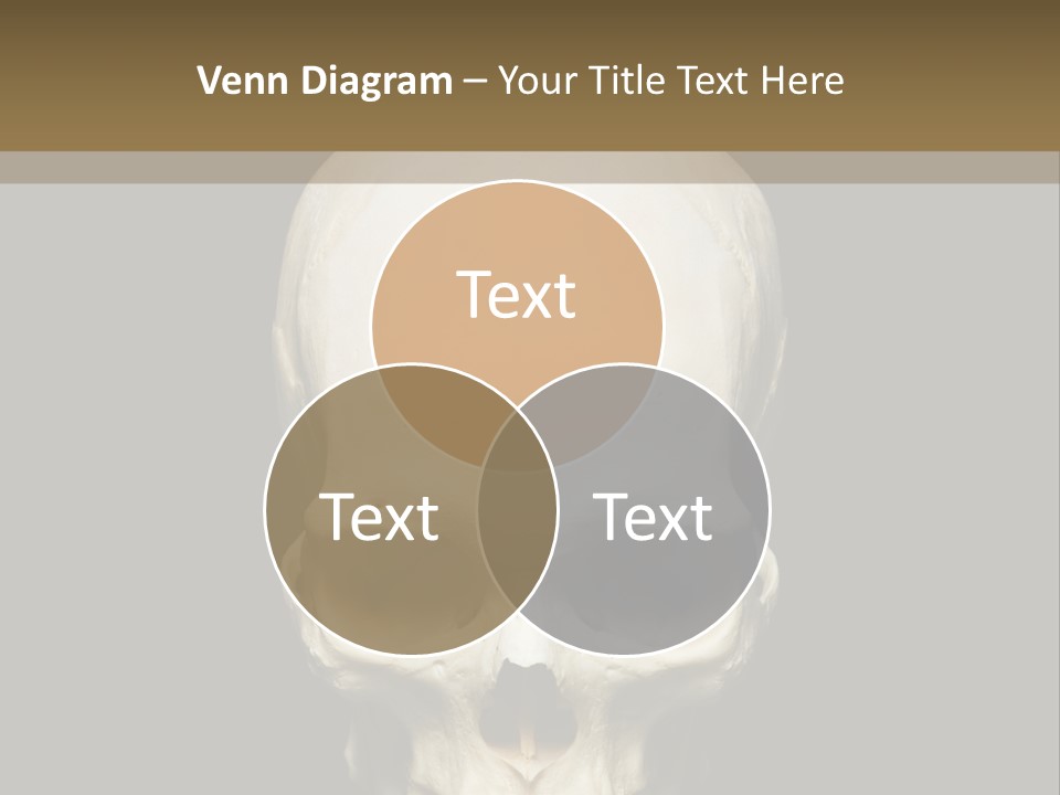 Symbol Body Death PowerPoint Template