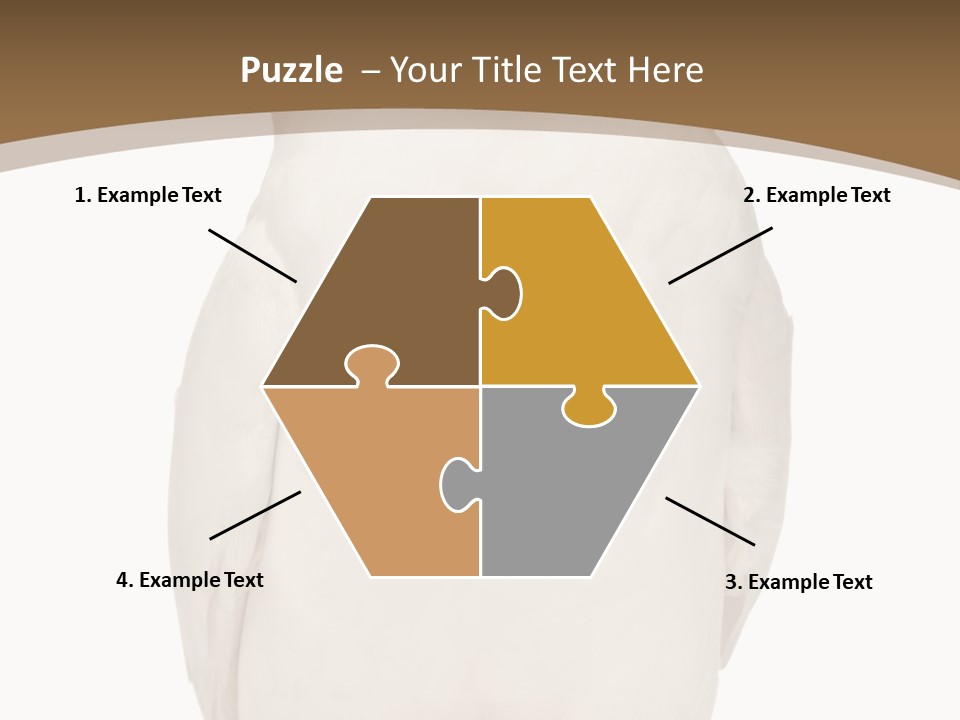 Meeting Office Happy PowerPoint Template