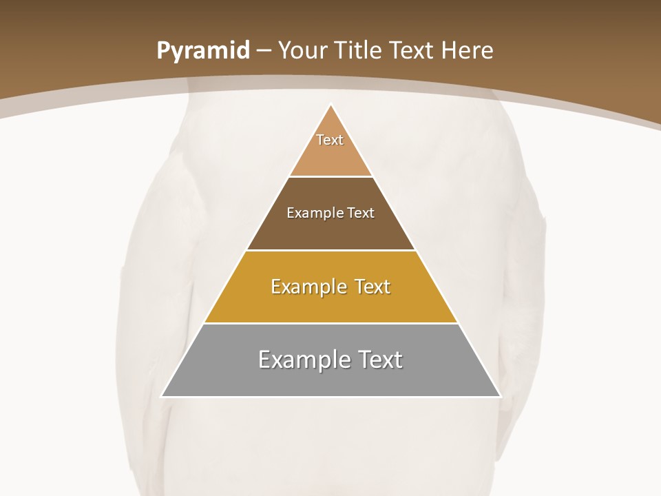 Meeting Office Happy PowerPoint Template