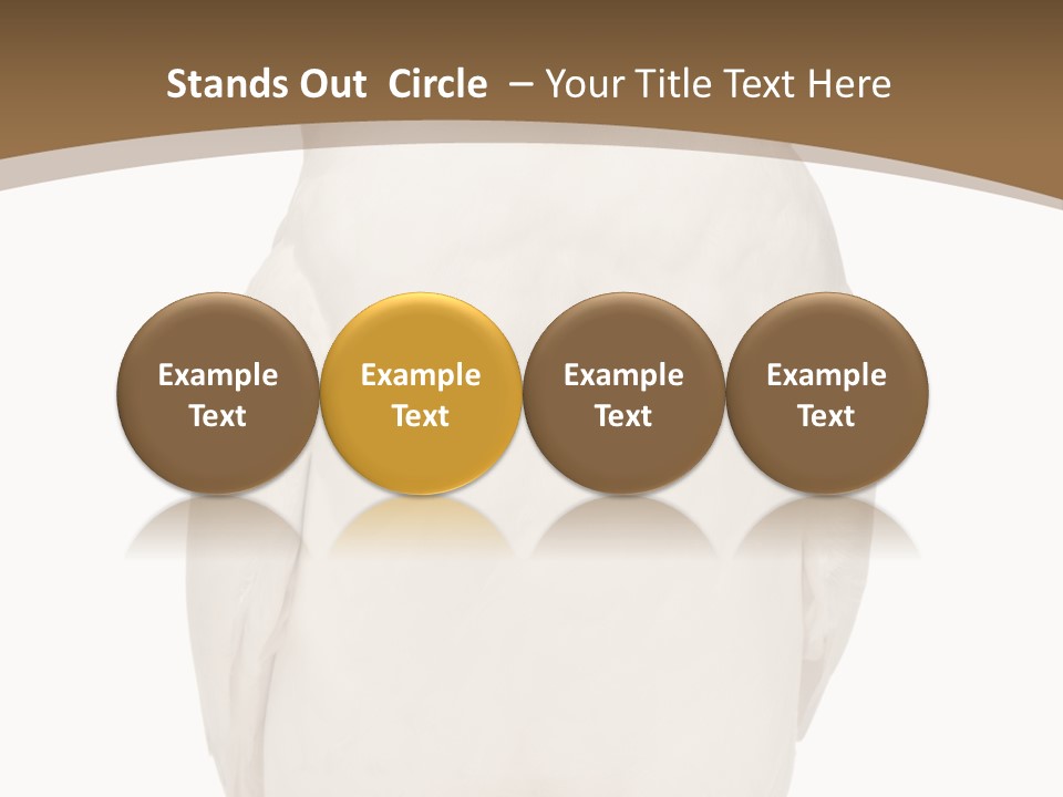 Meeting Office Happy PowerPoint Template