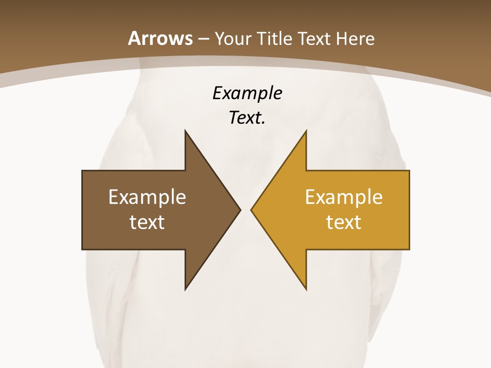 Meeting Office Happy PowerPoint Template