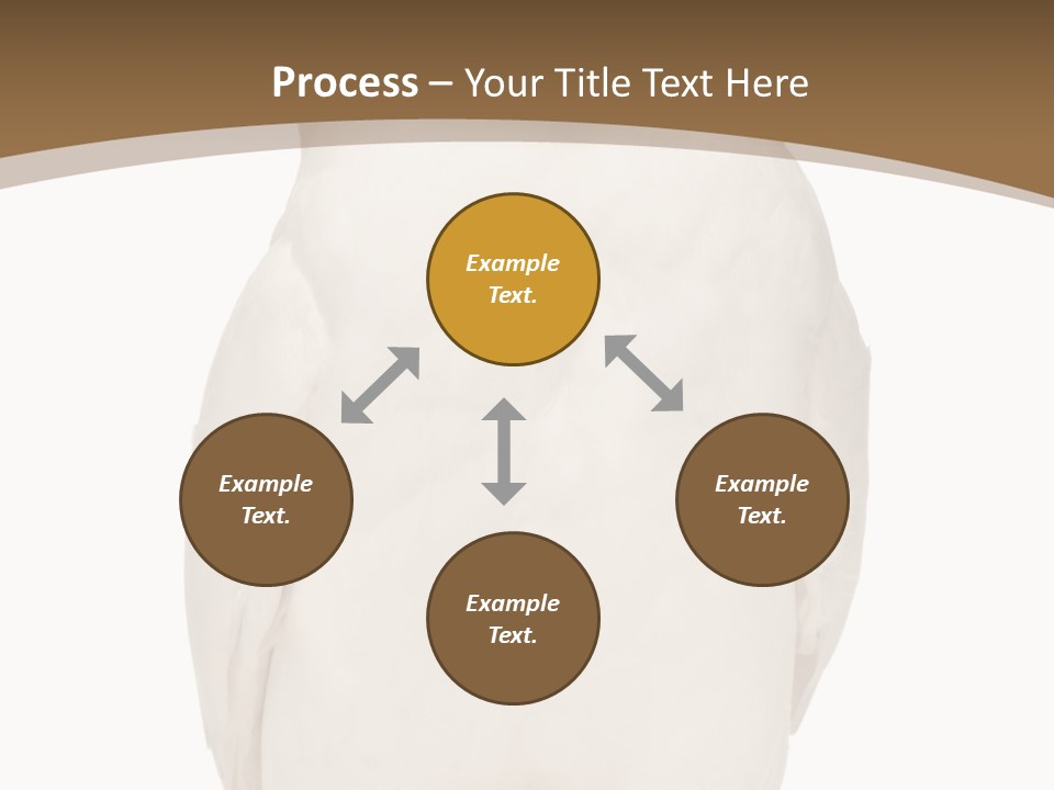 Meeting Office Happy PowerPoint Template
