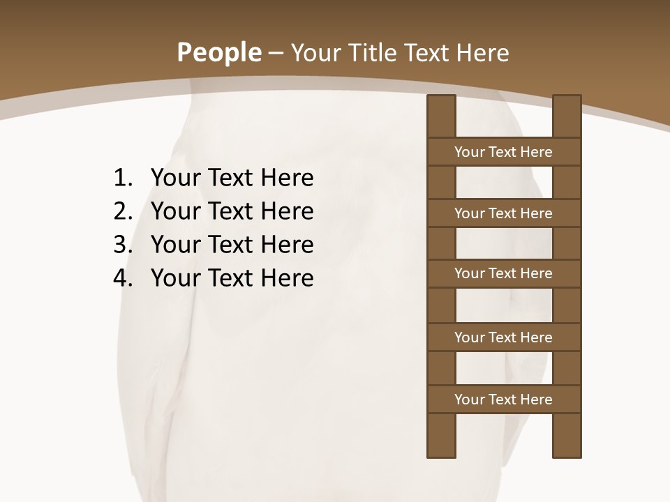 Meeting Office Happy PowerPoint Template