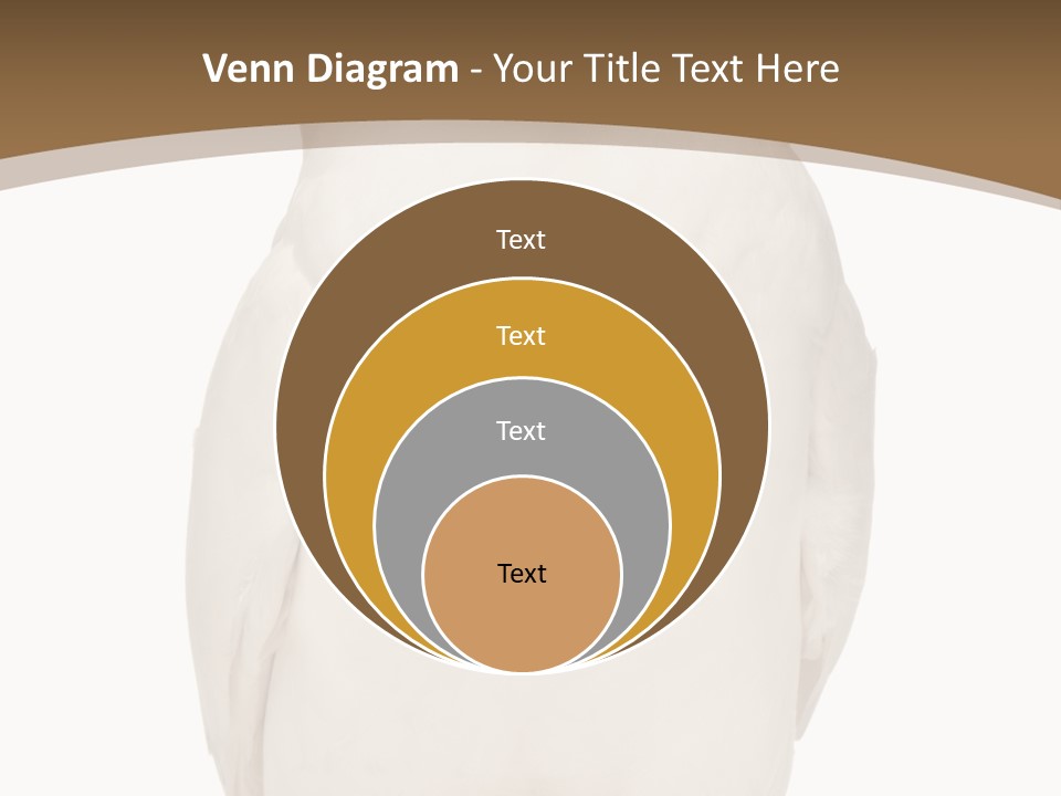 Meeting Office Happy PowerPoint Template