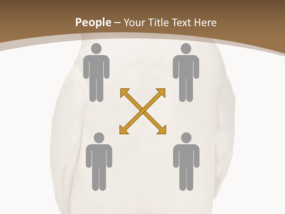 Meeting Office Happy PowerPoint Template