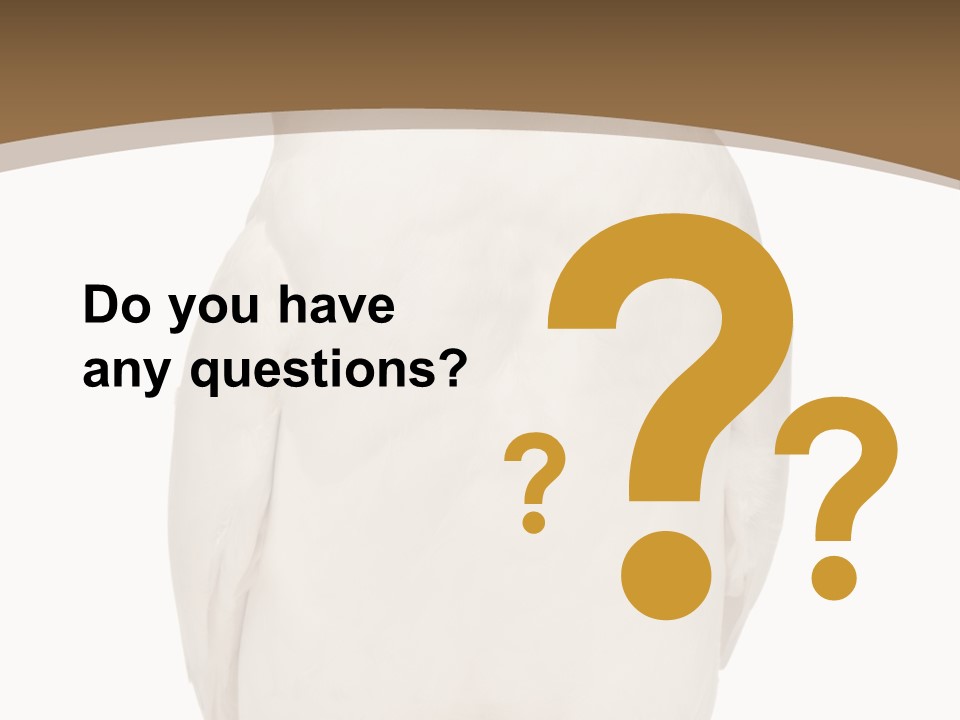 Meeting Office Happy PowerPoint Template