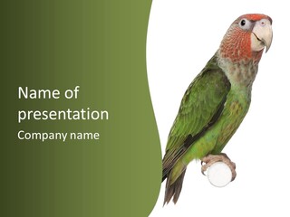 Corporation Profe Ional Group PowerPoint Template