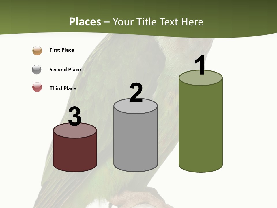 Corporation Profe Ional Group PowerPoint Template