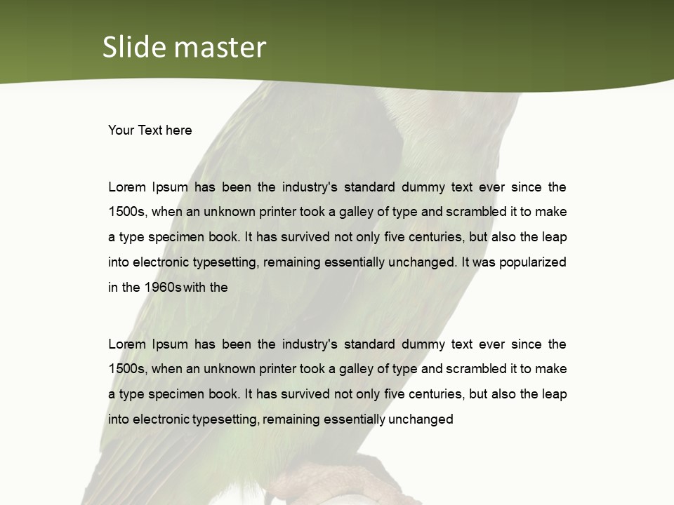 Corporation Profe Ional Group PowerPoint Template