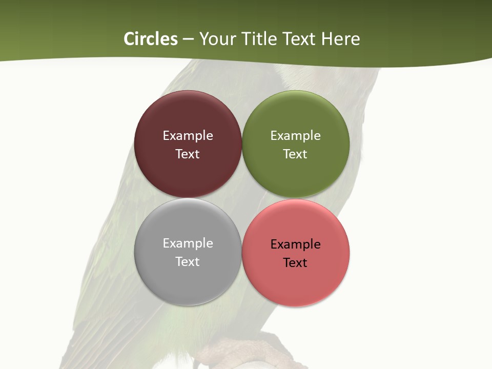 Corporation Profe Ional Group PowerPoint Template