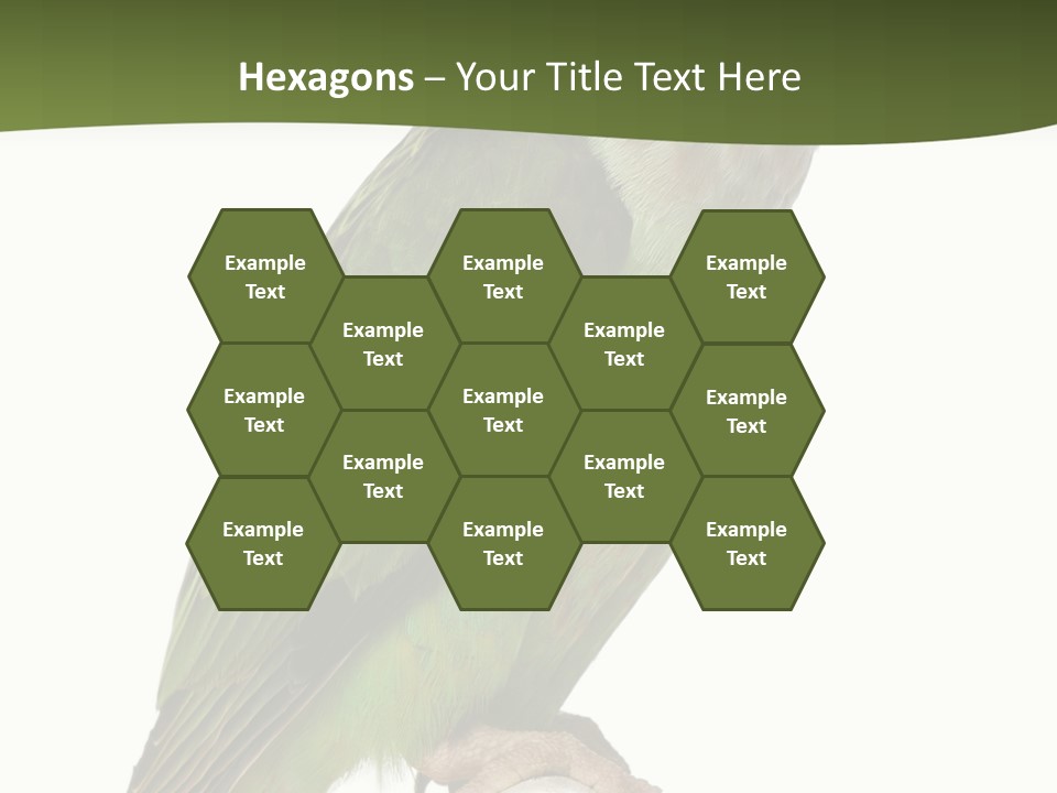 Corporation Profe Ional Group PowerPoint Template