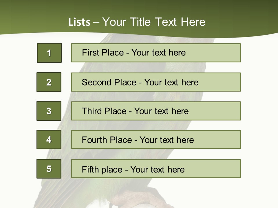 Corporation Profe Ional Group PowerPoint Template