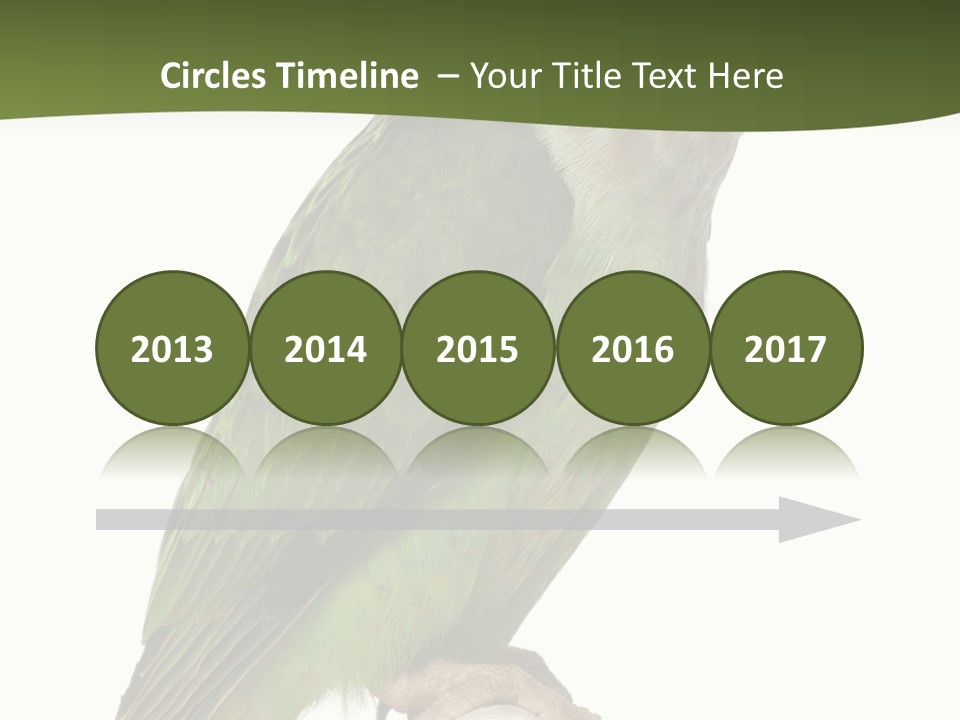 Corporation Profe Ional Group PowerPoint Template