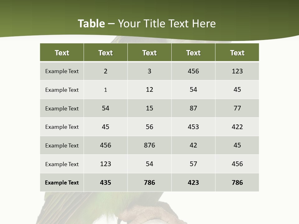 Corporation Profe Ional Group PowerPoint Template