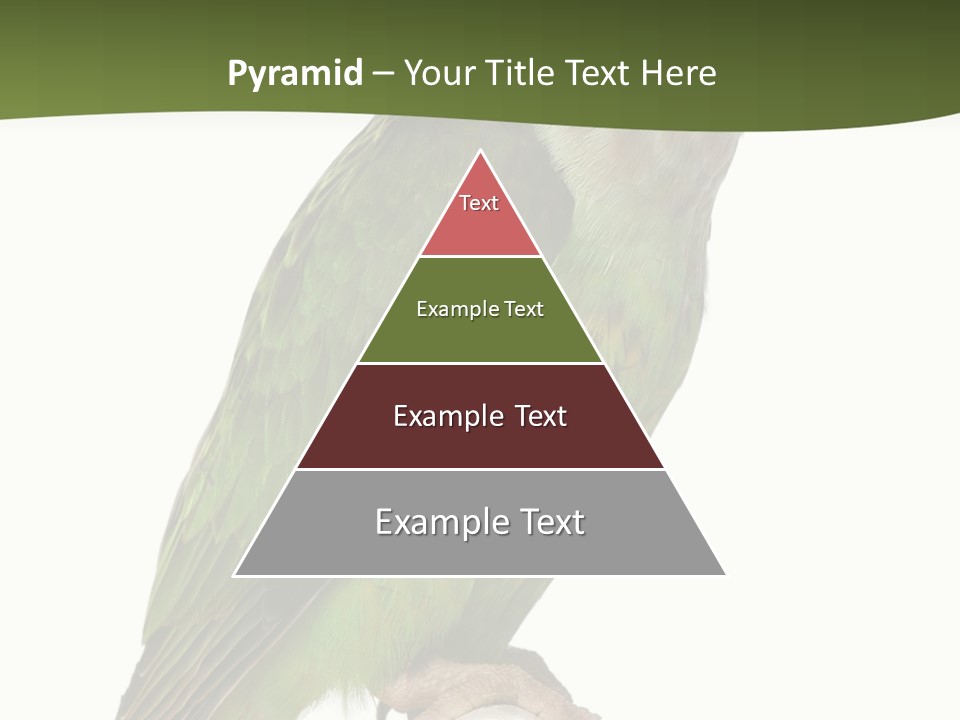 Corporation Profe Ional Group PowerPoint Template