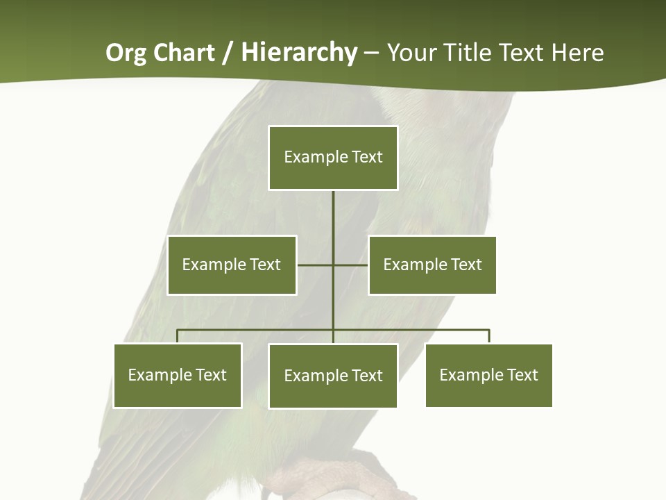 Corporation Profe Ional Group PowerPoint Template