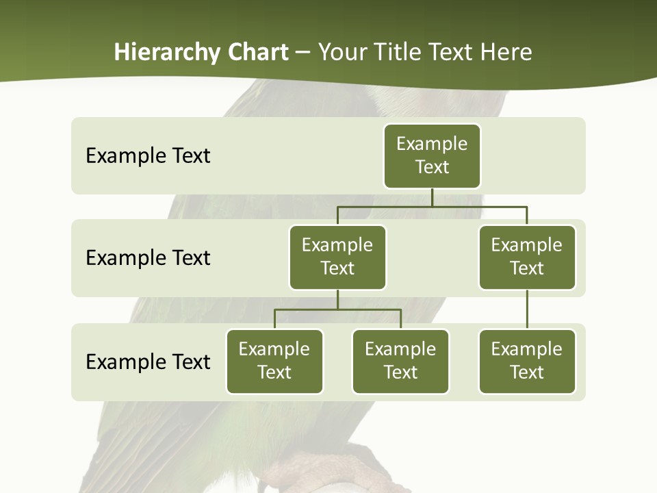 Corporation Profe Ional Group PowerPoint Template