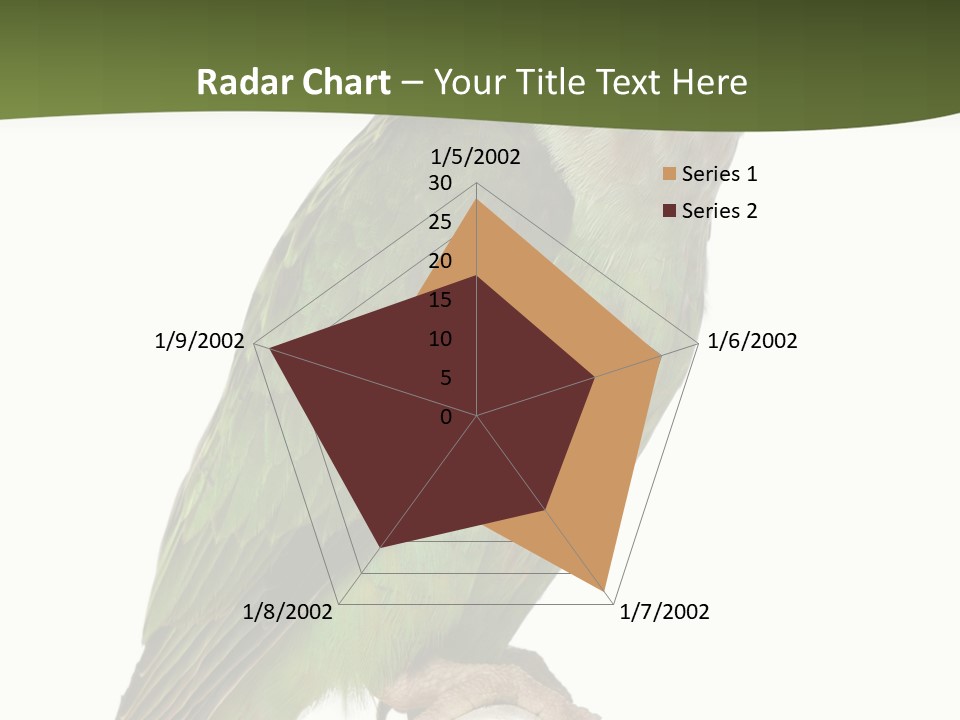 Corporation Profe Ional Group PowerPoint Template