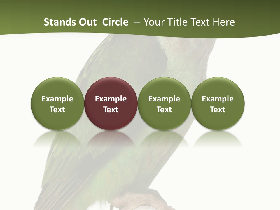 Corporation Profe Ional Group PowerPoint Template