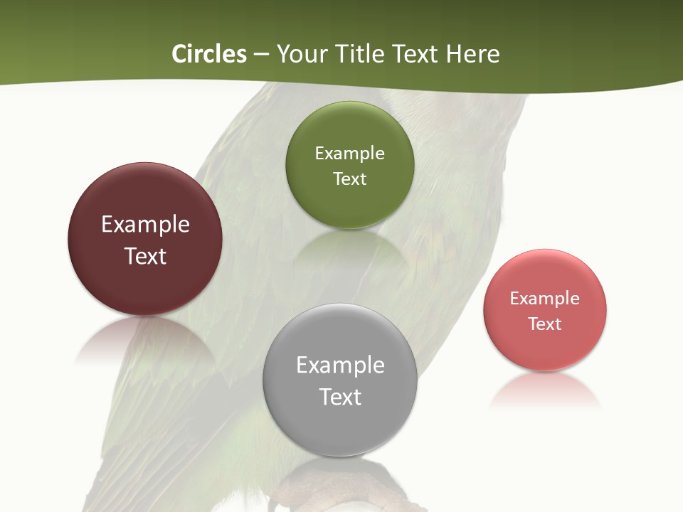 Corporation Profe Ional Group PowerPoint Template