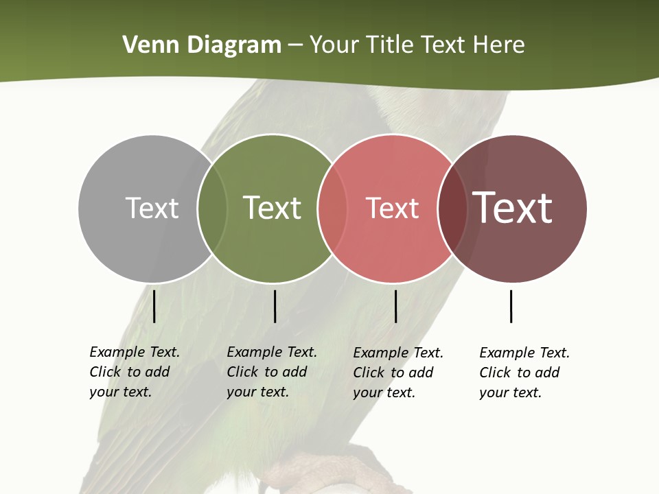 Corporation Profe Ional Group PowerPoint Template
