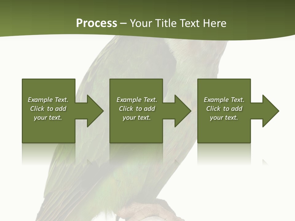 Corporation Profe Ional Group PowerPoint Template