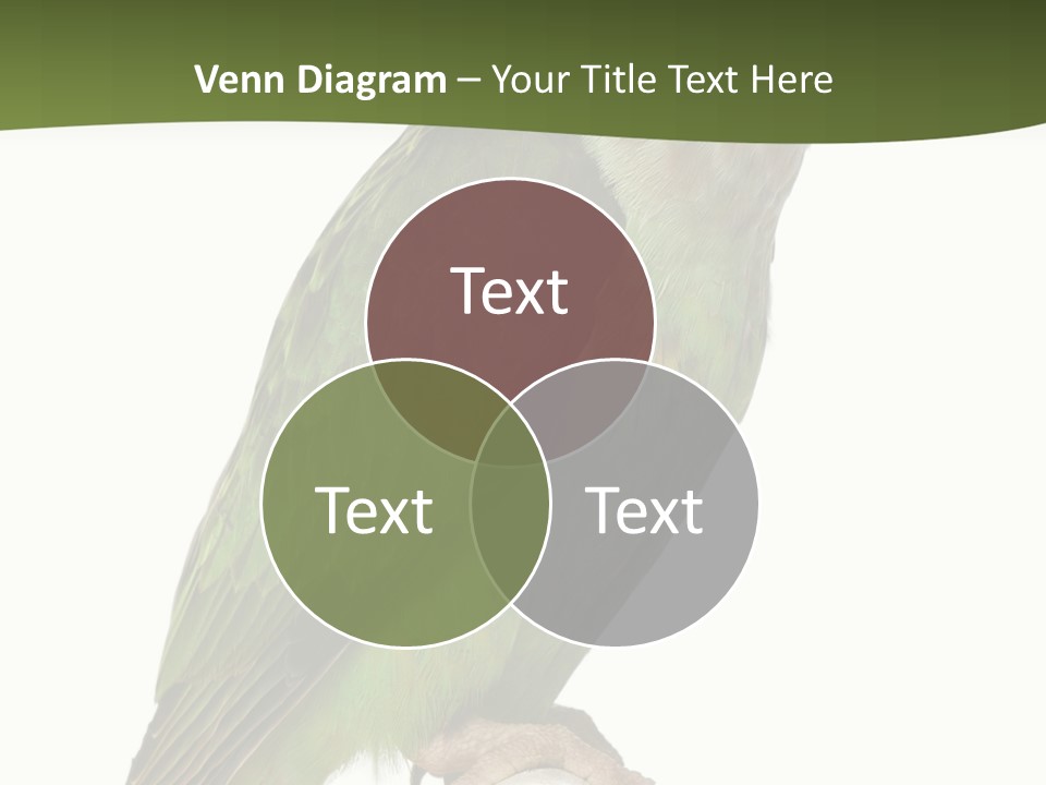 Corporation Profe Ional Group PowerPoint Template