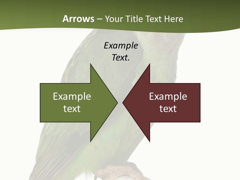 Corporation Profe Ional Group PowerPoint Template