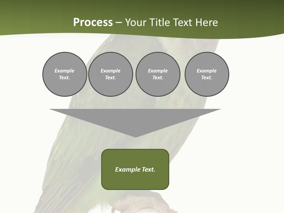 Corporation Profe Ional Group PowerPoint Template