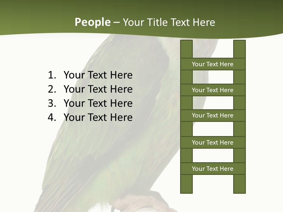 Corporation Profe Ional Group PowerPoint Template