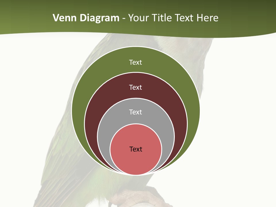 Corporation Profe Ional Group PowerPoint Template