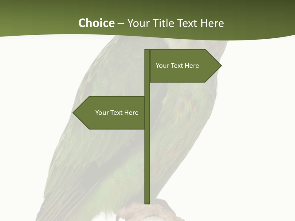 Corporation Profe Ional Group PowerPoint Template