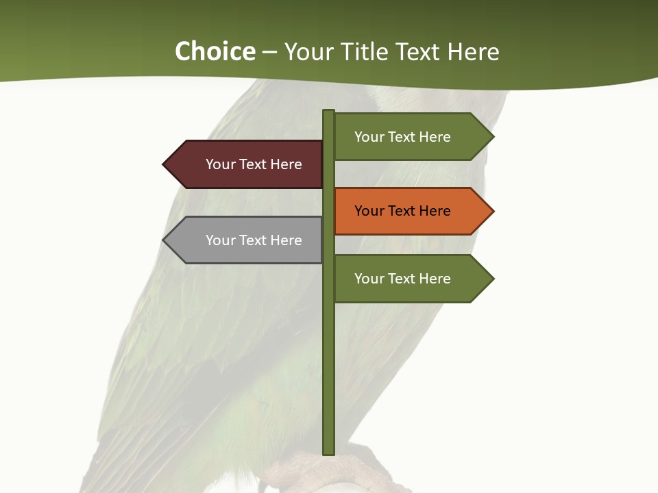 Corporation Profe Ional Group PowerPoint Template