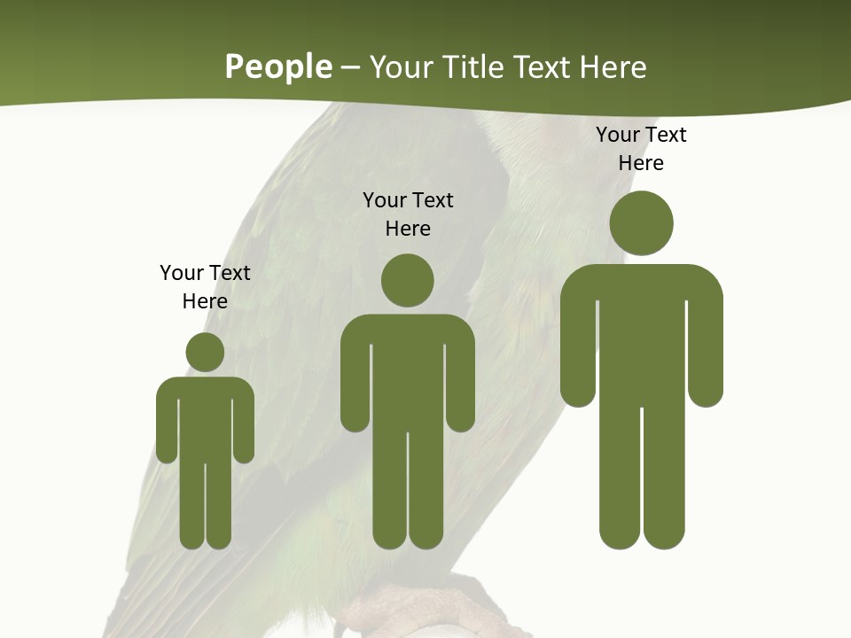 Corporation Profe Ional Group PowerPoint Template