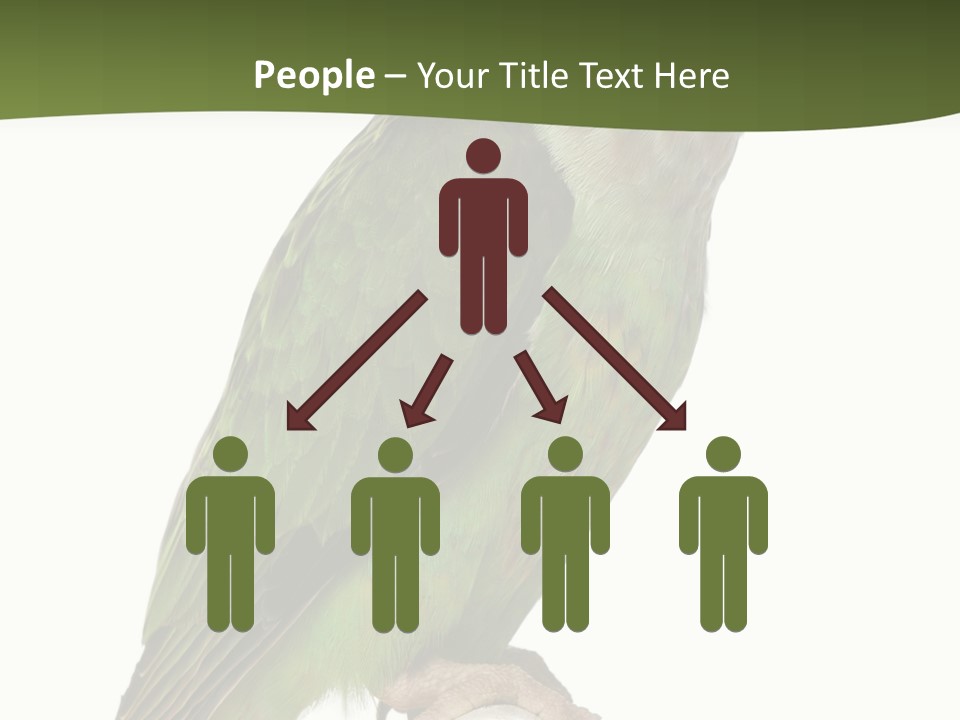 Corporation Profe Ional Group PowerPoint Template