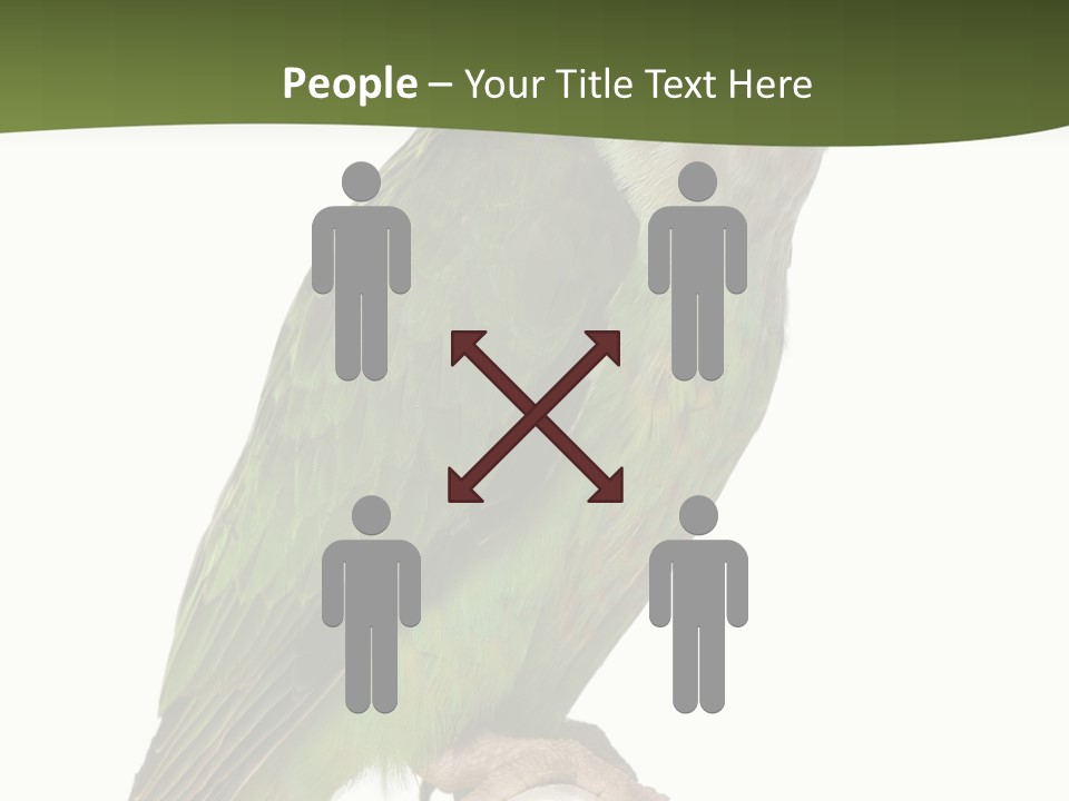 Corporation Profe Ional Group PowerPoint Template