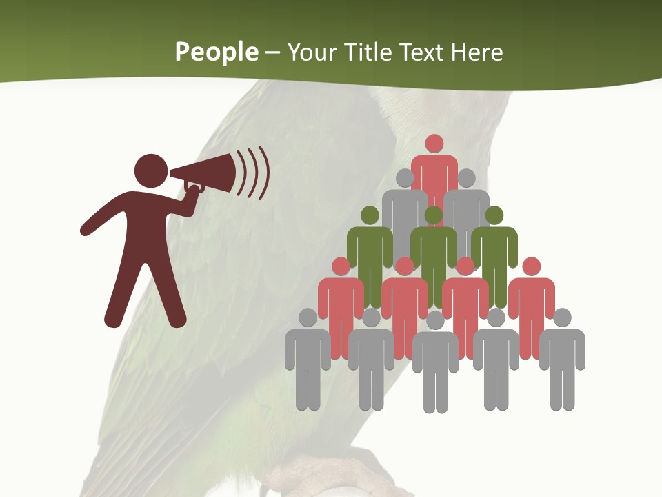 Corporation Profe Ional Group PowerPoint Template