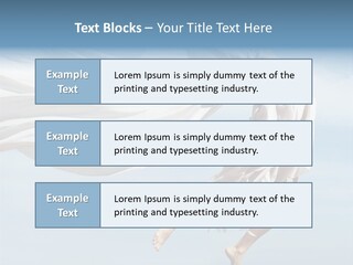 Sexy Tropical Exciting PowerPoint Template
