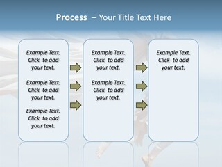 Sexy Tropical Exciting PowerPoint Template