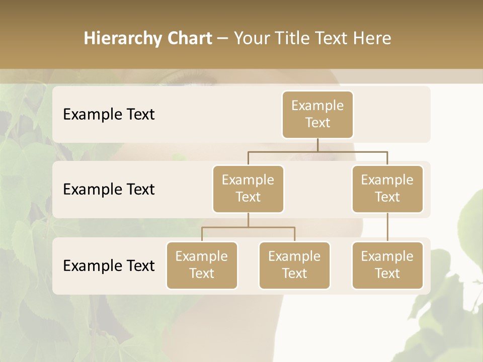 Leaves Skin Treatment PowerPoint Template