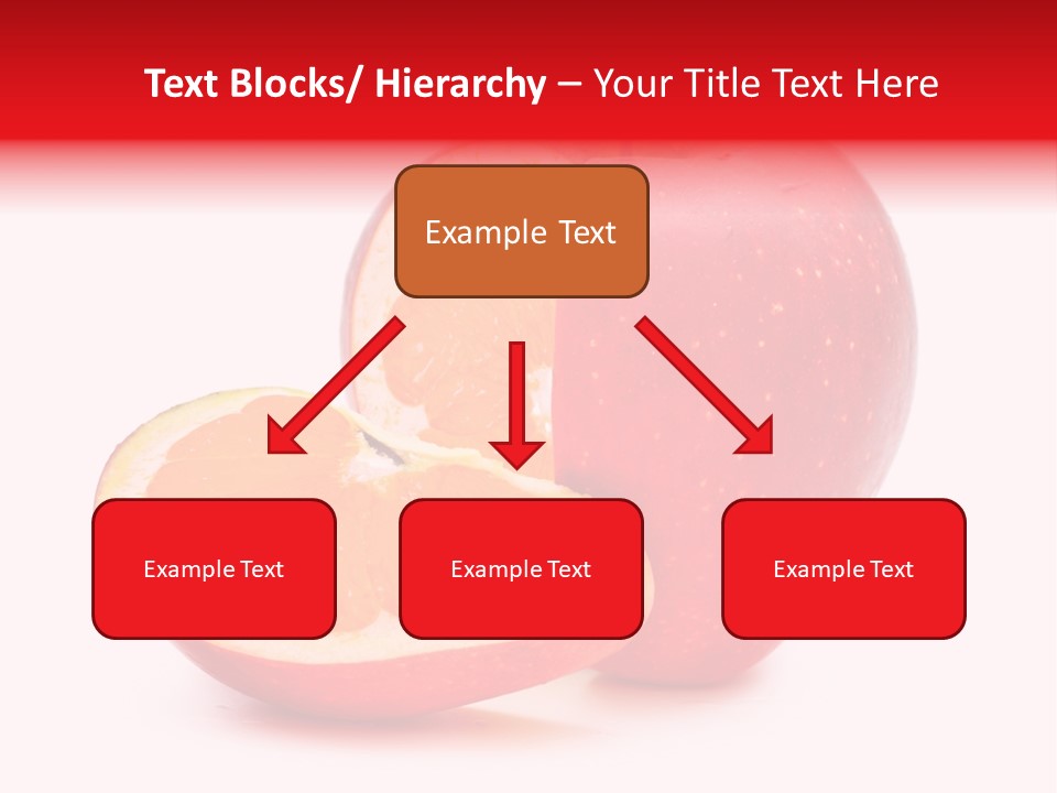 Lunch Organism Food PowerPoint Template