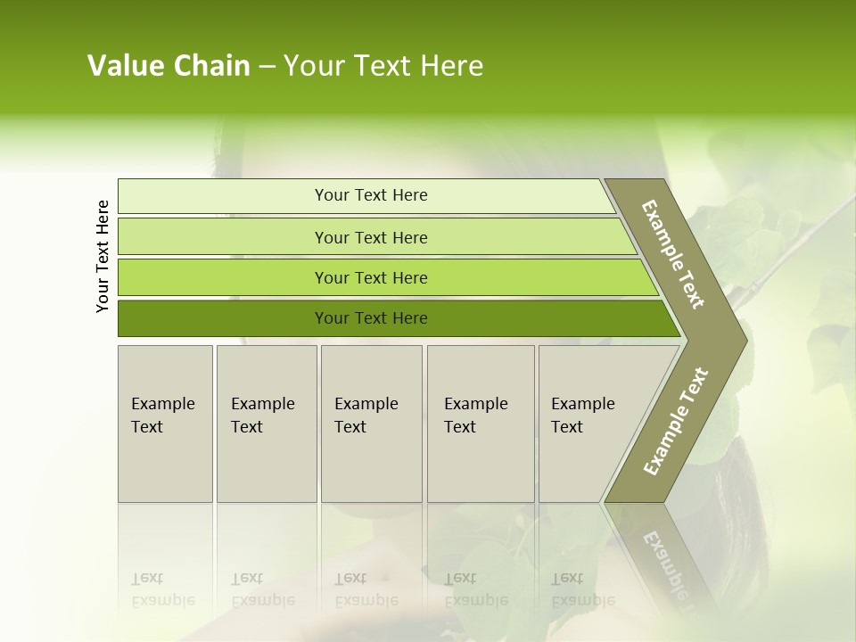 Beauty Skincare Organic PowerPoint Template