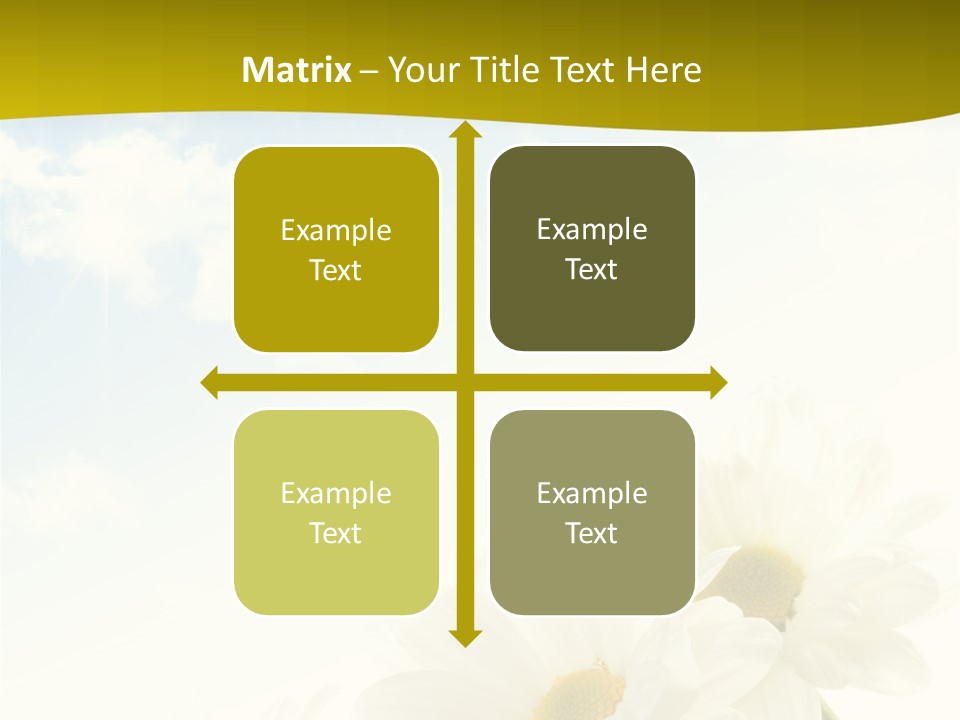 Scenery Health Chamomile PowerPoint Template