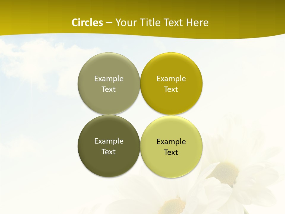 Scenery Health Chamomile PowerPoint Template