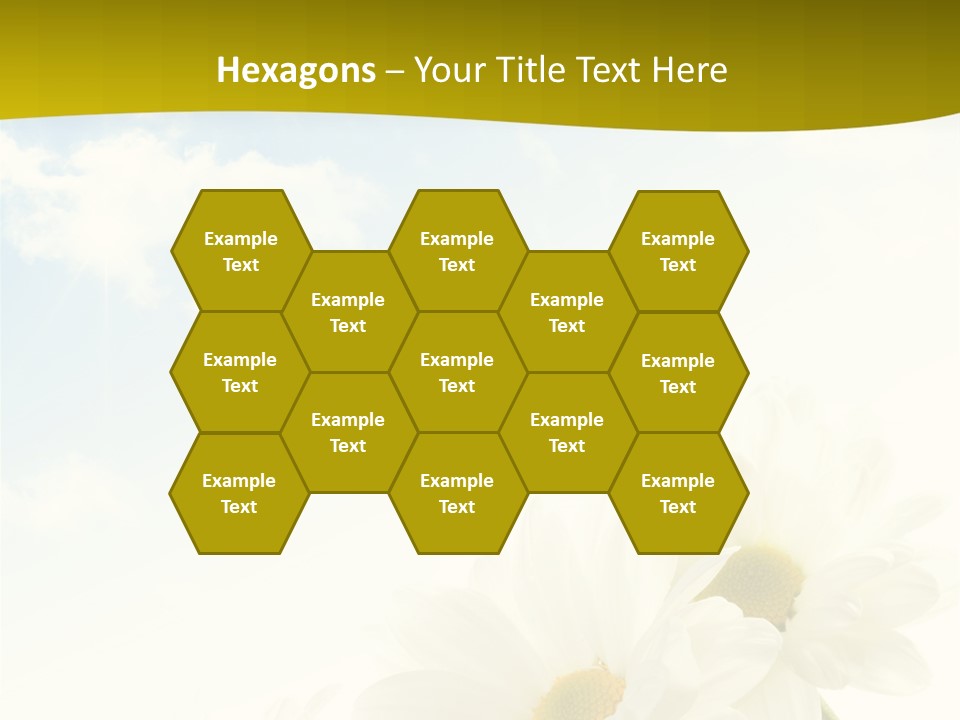 Scenery Health Chamomile PowerPoint Template